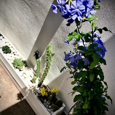 Bed & Breakfast Le Statuine Barletta