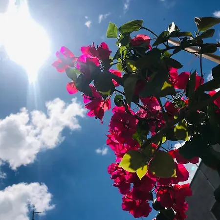 Le Statuine Dimore Diffuse Bed & Breakfast 3*