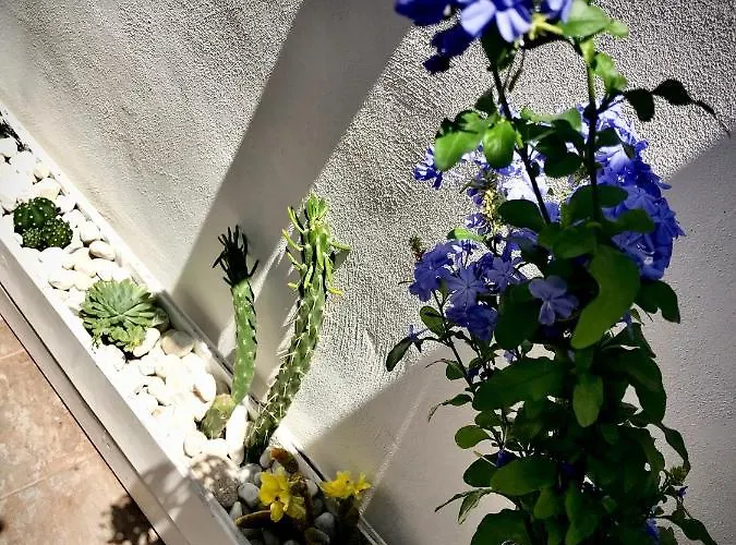 Bed & Breakfast Le Statuine Dimore Diffuse Barletta