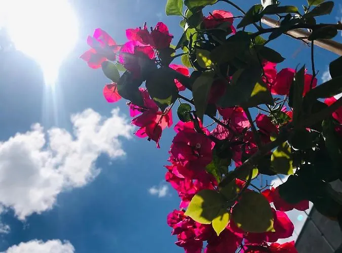 Le Statuine Dimore Diffuse Bed & Breakfast 3*